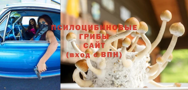 mix Бородино
