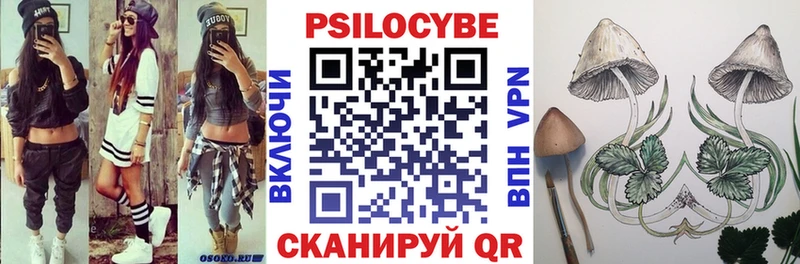 Псилоцибиновые грибы прущие грибы  Вичуга 